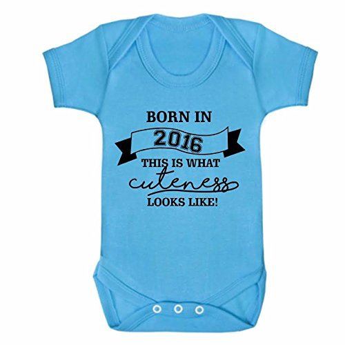 Cutness Looks Like 2016 Blue Short Sleeve Babygrow