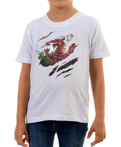 Reality Glitch Torn Wales Flag Kids T-Shirt