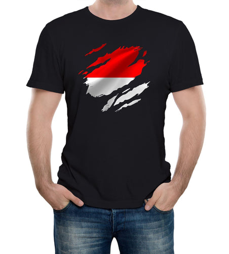 Reality Glitch Torn Monaco Flag Mens T-Shirt