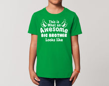 Reality Glitch This is What an Awesome Big Brother Looks Like Kids T-Shirt