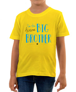 Reality Glitch Awesome Big Brother Kids T-Shirt