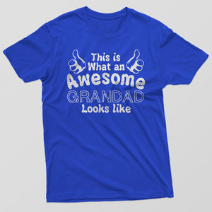 Reality Glitch This is What an Awesome Grandad Looks Like Mens T-Shirt