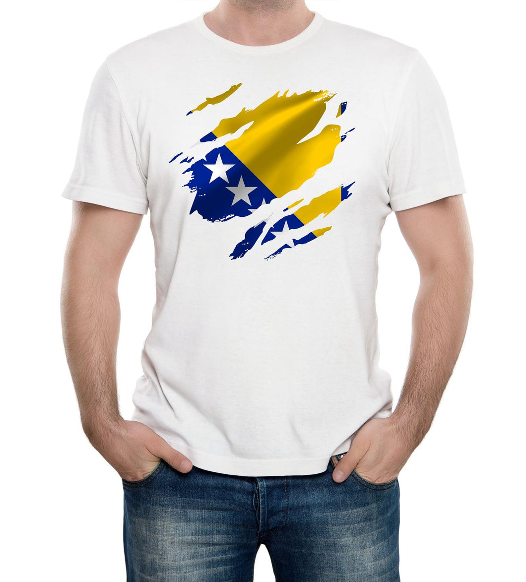 Reality Glitch Torn Bosnia Flag Mens T-Shirt